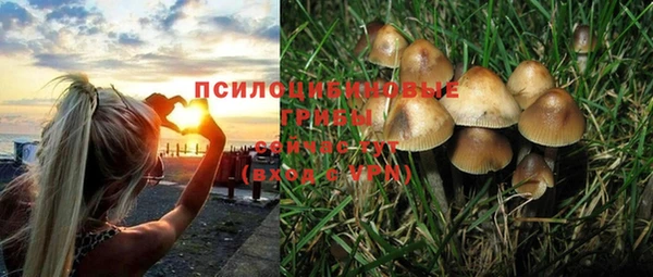 не бодяженный Абдулино