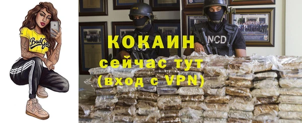 дживик Абинск
