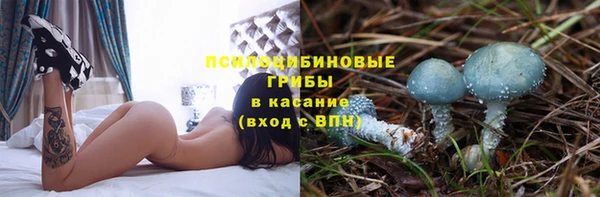 сатива Абаза