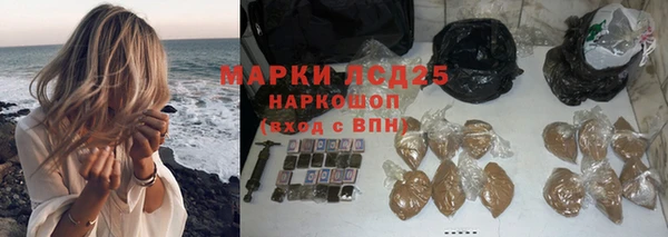 сатива Абаза