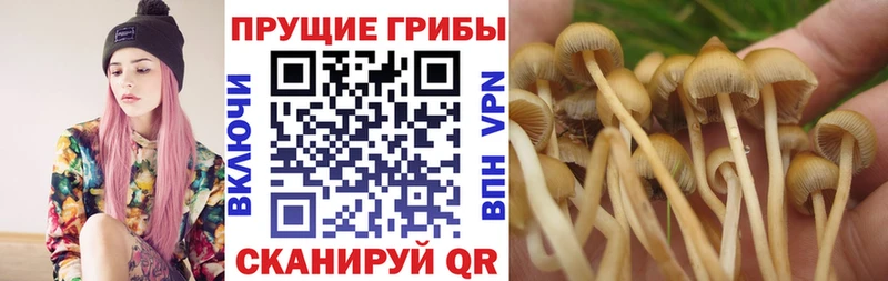 это официальный сайт  Александровск  Галлюциногенные грибы Magic Shrooms 